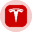TSLAON