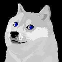 bDOGE
